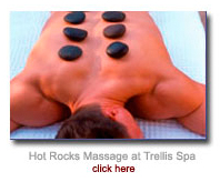 The Trellis Spa at The Houstonian